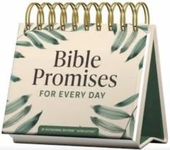 DayBrighteners-Bible Promises For Everyday U4780
