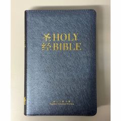 ESV dual language bible