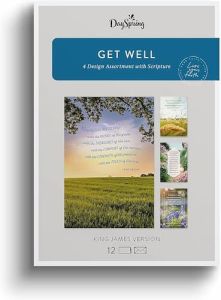 Boxed Cards-Get Well Landscapes R.Lessin U1206