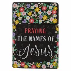 Box Of Blessings-Praying the Names of Jesus BX163