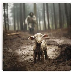 Coaster-I Am Collection, Lamb COA2130