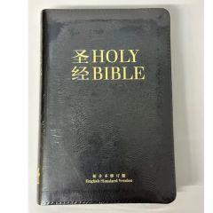 ESV dual language bible