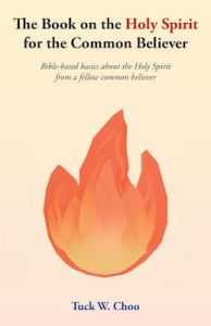 Book on the Holy Spirit for the Common Believer Choo W Tuck