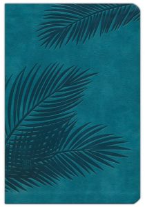 Passion Translation NT (2020 Edition) Large Print-Faux Leather, Teal
