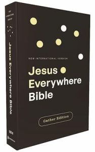 NIV, Jesus Everywhere Outreach Bible, Larger Print