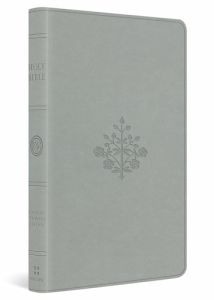 ESV Large Print Value Thinline TruTone- River Stone Branch Design