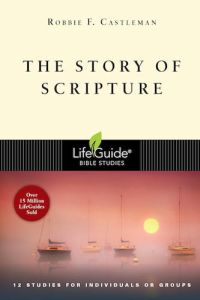 LifeGuide Bible Study - The Story of Scripture
