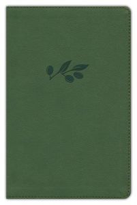 NASB 20 Large Print Personal Size Reference LeatherTouch-Olive