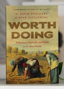 Worth Doing-Fallenness, Finitude, and Work in the Real World