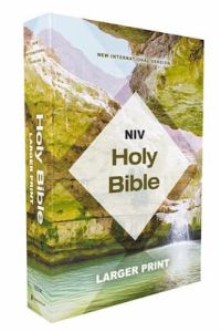 NIV Holy Bible Larger Print Economy Edition Teal/Tan