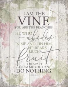 Plaque Big Boards-I Am the Vine 8221