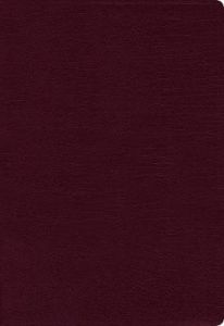 NASB 95 Thinline Large Print Bonded-Burgundy Comfort Print