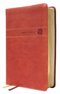 NIV Men's Devotional Bible, Leathersoft, Brown, Comfort Print