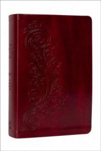 NASB New Inductive Study Bible-Softone Burgundy