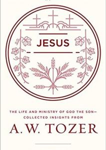 Jesus: Life And Ministry of God The Son