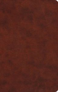 ESV Large Print Value Thinline TruTone-Chestnut