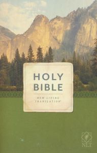 NLT Holy Bible Economy Outreach-SC