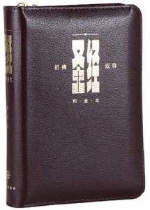 和合本 祈祷应许版拇指版 红色银边 拉链CUVP Bible LeatherLike Burgundy Zipper Chinese