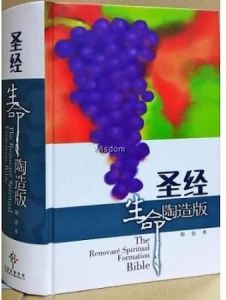简体圣经和合本 - 生命陶造 - 硬面白边 CUV Renovare Spirit Formation HC Black- Chinese