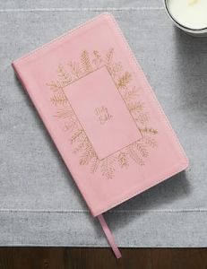 NKJV Holy Bible for Kids LeatherSoft - Pink