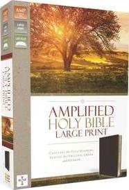 Amplified Holy Bible, Large Print, Bonded Leather, Burgundy