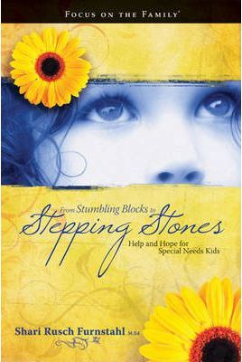 From Stumbling Blocks To Stepping Stones