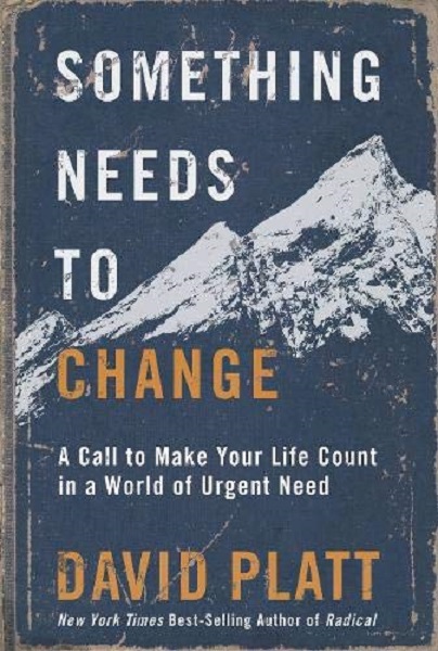 Something Needs to Change, Softcover