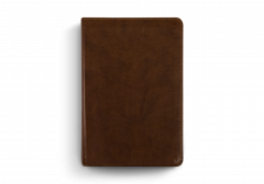 ESV Study Bible Personal Size TruTone-Brown