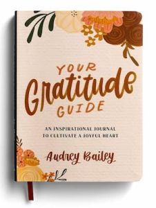 Journal-Your Gratitude Guide J9611