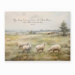 Wall Decor Canvas-My Sheep CVS0529