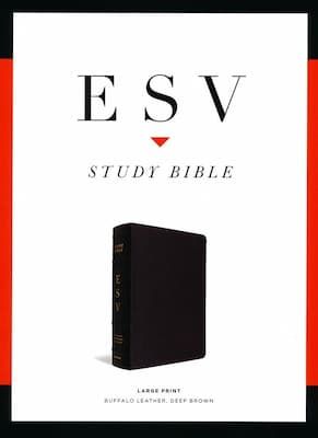 ESV Study Bible, Large Print, Buffalo Leather-Deep Brown | Cru