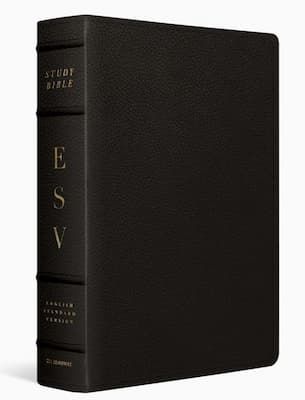 FMWオフィシャル・ビデオ(32)～FMW HARD CORE BIBLE～究… ESV Study Bible, Large Print, Buffalo Leather-Deep Brown | Cru