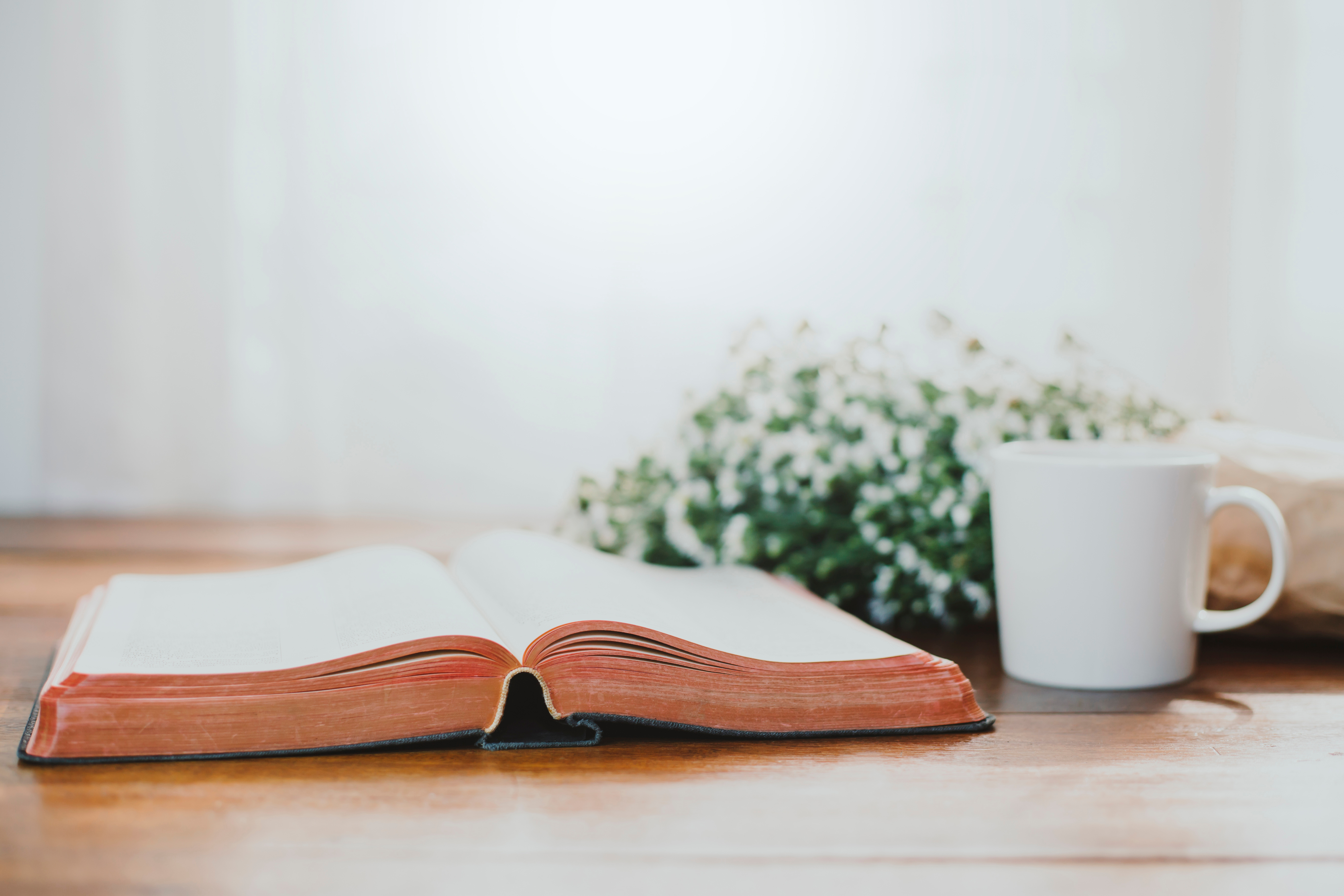 Cultivate Daily Bible Reading Habits