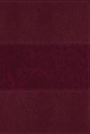 NIV Study Bible  Fully Revised Ed.  Large Print  Leathersoft  Burgundy  Red Letter  Comfort Print