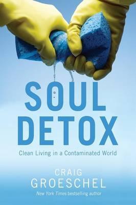 Soul Detox | Craig Groeschel Books - Cru Media Ministry