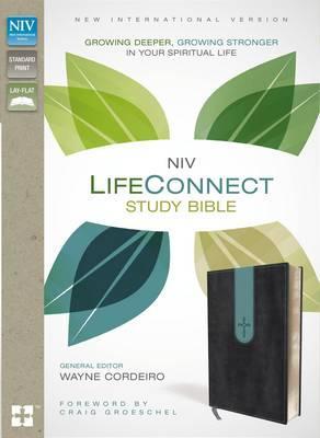 NIV LifeConnect Study Bible - Gray/Blue
