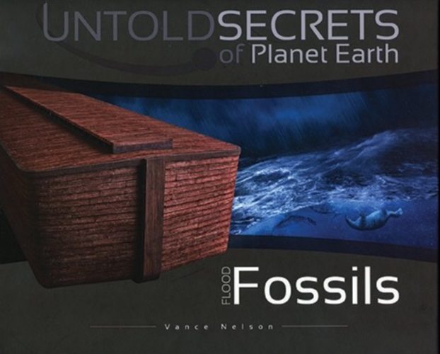 Flood Fossils (Nett)