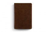ESV Study Bible Personal Size TruTone-Brown