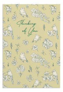Boxed Cards-Thinking of You, He Cares J7450