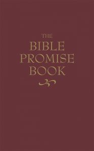 KJV Bible Promise Book, Burgundy