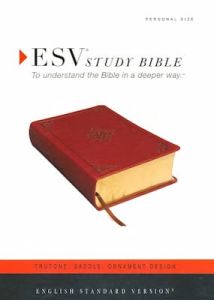 ESV Study Bible Personal Size, TruTone-Saddle Ornament