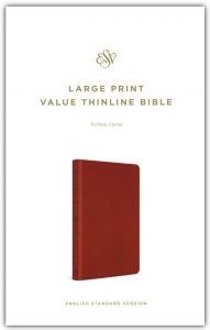 ESV  Large Print Value Thinline Bible, TruTone-Camel