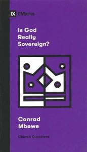 Is God Really Sovereign? Booklet