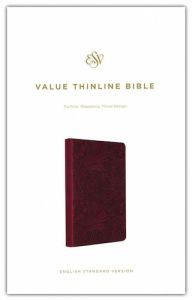 ESV Value Thinline Bible TruTone-Raspberry Floral