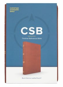 CSB Thinline Reference Bible LeatherTouch-Burnt Sienna