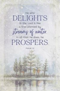 Plaque/Joyful Living: Delights in the Lord 9489