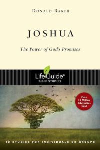 LifeGuide Bible Study - Joshua