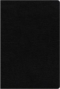 NIV Study Bible  Fully Revised Ed.  Large Print  Bonded Leather  Black  Red Letter  Comfort Print
