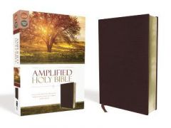 Amplified Holy Bible, Bonded Leather, Burgundy 