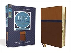NIV Study Bible  Fully Revised Ed. (Brown/Blue)